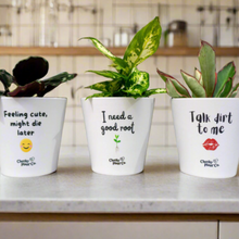 Load image into Gallery viewer, Trio Cheeky Pots Pack - Cheeky Plant Co. Pots - 13.5cmD x 11.5cmH
