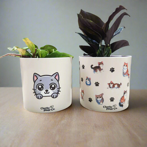 Cute Cats Duo Pack - Cheeky Plant Co. Pots - 12.5cmD x 12cmH