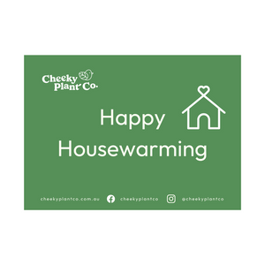 Greeting Cards - Green