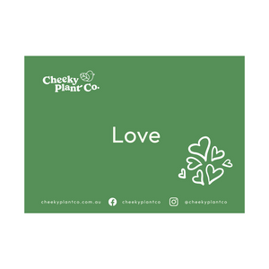 Greeting Cards - Green