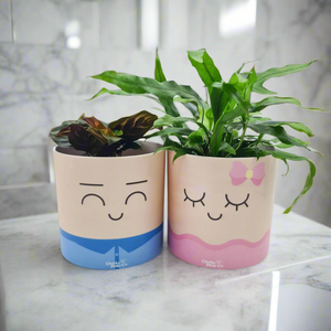 Face Swapping Pots Pack - Moody Lovers - Cheeky Plant Co. Pots - 12.5cmD x 12cmH
