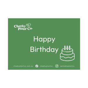 Greeting Cards - Green