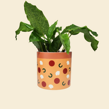 Load image into Gallery viewer, Assorted Potted Plant - CHOOSE YOUR CHEEKY POT - Sydney Only
