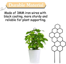Load image into Gallery viewer, Black Iron Plant Trellis - Honeycomb (13x38.5cmH)
