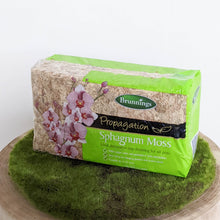 Load image into Gallery viewer, Brunnings Sphagnum Moss 150g
