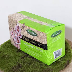 Brunnings Sphagnum Moss 150g