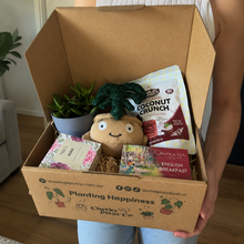 Load image into Gallery viewer, Thank You - Succulent Hamper / Succulent Gift Box
