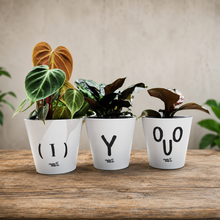 Load image into Gallery viewer, Trio Rude Pots Pack - Cheeky Plant Co. Pots - 13.5cmD x 11.5cmH
