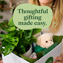 Load image into Gallery viewer, Get Well Soon - Assorted Plant Gift Hamper - Sydney Only
