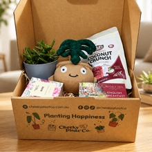 Load image into Gallery viewer, Thank You - Succulent Hamper / Succulent Gift Box
