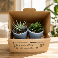 Load image into Gallery viewer, Assorted Potted Succulent Duo
