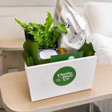 Load image into Gallery viewer, Hospital Gift Hamper - Sydney Only
