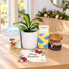 Load image into Gallery viewer, Christmas Plant Gift Hamper - Sydney Only

