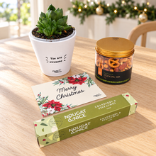 Load image into Gallery viewer, Christmas Succulent Gift Box
