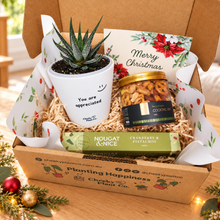 Load image into Gallery viewer, Christmas Succulent Gift Box

