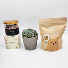 Load image into Gallery viewer, Deepest Sympathy Gift Hamper Box with Succulent
