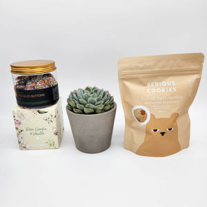 Deepest Sympathy Gift Hamper Box with Succulent