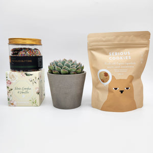 Deepest Sympathy Gift Hamper Box with Succulent