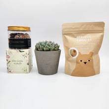 Load image into Gallery viewer, Deepest Sympathy Gift Hamper Box with Succulent
