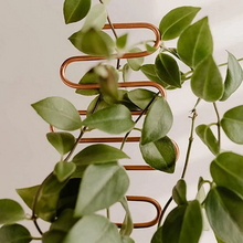 Load image into Gallery viewer, Gold Wavy Plant Trellis (10x34cmH)
