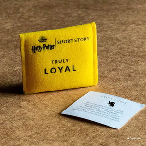 Harry Potter Trinket Pouch - Hufflepuff
