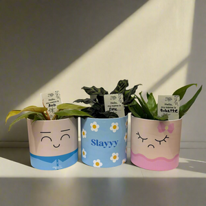 Plant Name Labels - "Hello my name is ___ "