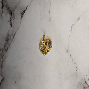Monstera Plant Pendant