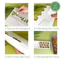 Load image into Gallery viewer, Moss Pole - Medium (40cmH) - Frosted White
