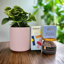 Load image into Gallery viewer, Pawesome Dog Friendly Plant Gift Hamper - Sydney Only
