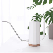 Load image into Gallery viewer, Polygonal Watering Can - 1.2L
