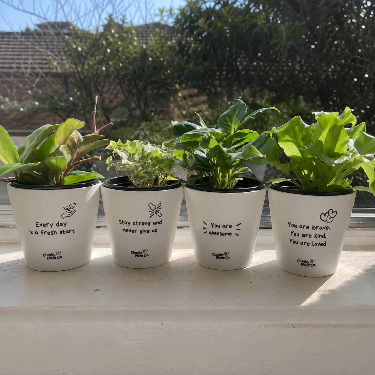 Positive Pots Four Pack - Cheeky Plant Co. Pots - 11cmD x 11cmH