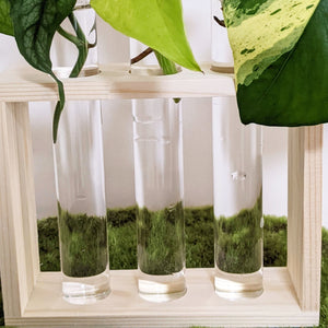 Propagation Station - 3 Glass Tubes