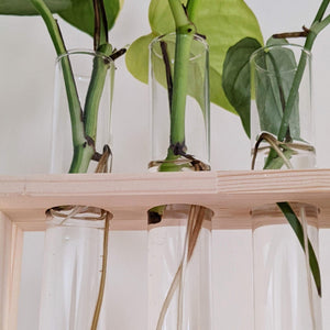 Propagation Station - 3 Glass Tubes