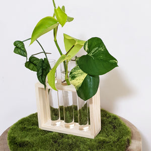 Propagation Station - 3 Glass Tubes