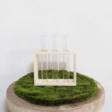 Load image into Gallery viewer, Propagation Station - 3 Glass Tubes

