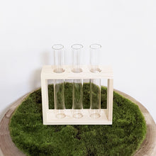 Load image into Gallery viewer, Propagation Station - 3 Glass Tubes
