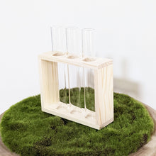 Load image into Gallery viewer, Propagation Station - 3 Glass Tubes
