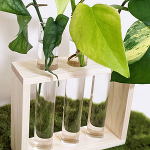 Propagation Station - 3 Glass Tubes
