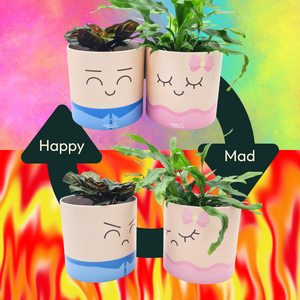 Face Swapping Pots Pack - Moody Lovers - Cheeky Plant Co. Pots - 12.5cmD x 12cmH