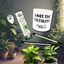 Load image into Gallery viewer, Fucculent Survival Kit - Plant Care Bundle
