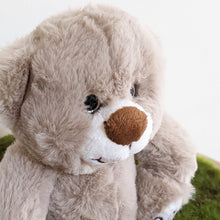 Load image into Gallery viewer, Teddy Bear Harry Grey
