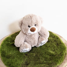 Load image into Gallery viewer, Teddy Bear Harry Grey
