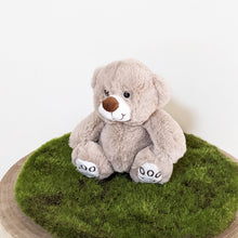 Load image into Gallery viewer, Teddy Bear Harry Grey
