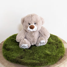Load image into Gallery viewer, Teddy Bear Harry Grey
