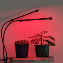 Load image into Gallery viewer, Two Headed Red/Blue Grow Lights
