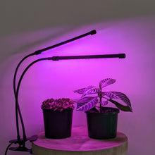 Load image into Gallery viewer, Two Headed Red/Blue Grow Lights
