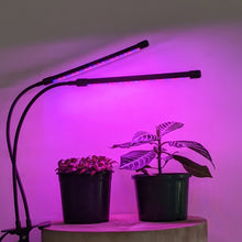 Load image into Gallery viewer, Two Headed Red/Blue Grow Lights
