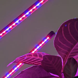 Two Headed Red/Blue Grow Lights
