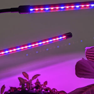 Two Headed Red/Blue Grow Lights