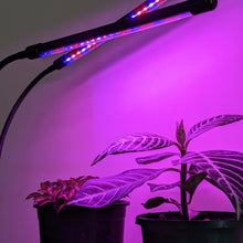 Load image into Gallery viewer, Two Headed Red/Blue Grow Lights
